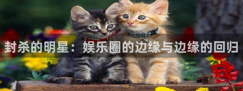 手机版开心网