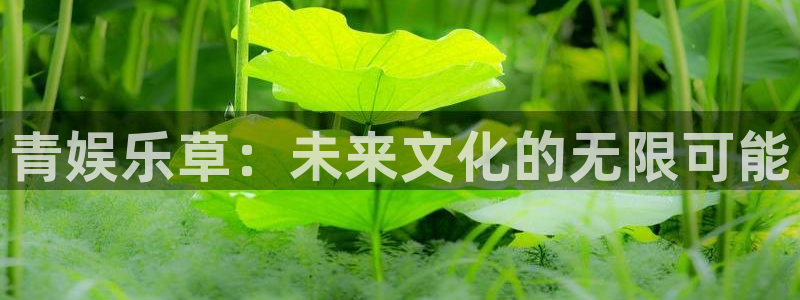 开心8快乐彩