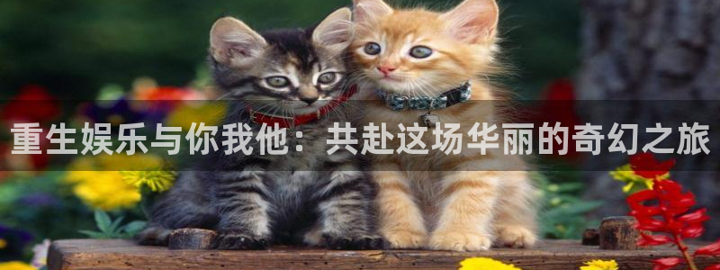 下载开心彩