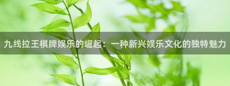 开心网手机版