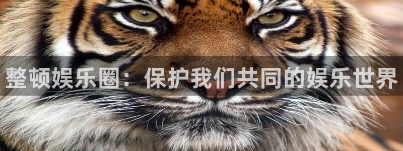 开心彩官网下载：整顿娱乐圈：保护我们共同的娱乐世界
