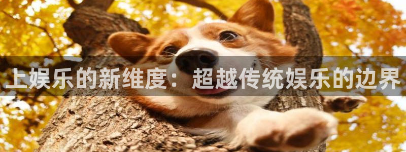 开心彩welcome购彩手机版：上娱乐的新维度：超越传统娱乐的边界