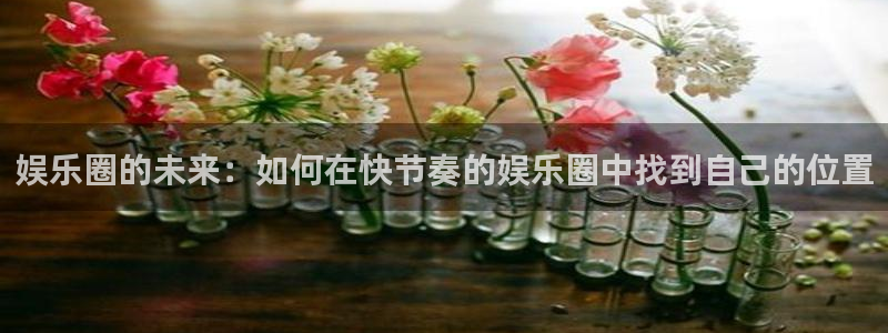 开心彩下载安装：娱乐圈的未来：如何在快节奏的娱乐圈中找到自己的位置