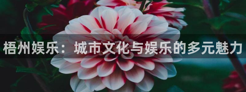 成都市开心彩之韵印刷有限公司：梧州娱乐：城市文化与娱乐的多元魅力