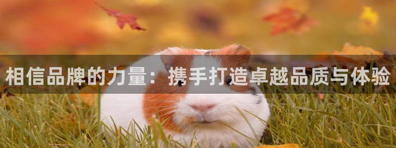 开心彩正版官网入口：相信品牌的力量：携手打造卓越品质与体验