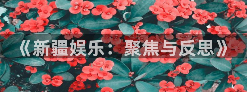 开心彩下载安装：《新疆娱乐：聚焦与反思》