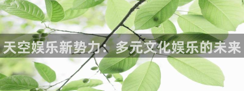 如果开心有颜色：天空娱乐新势力：多元文化娱乐的未来