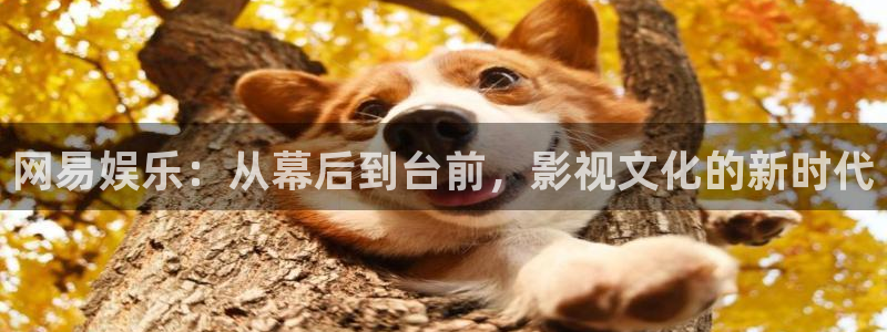 成都市开心彩之韵印刷有限公司：网易娱乐：从幕后到台前，影视文化的新时代